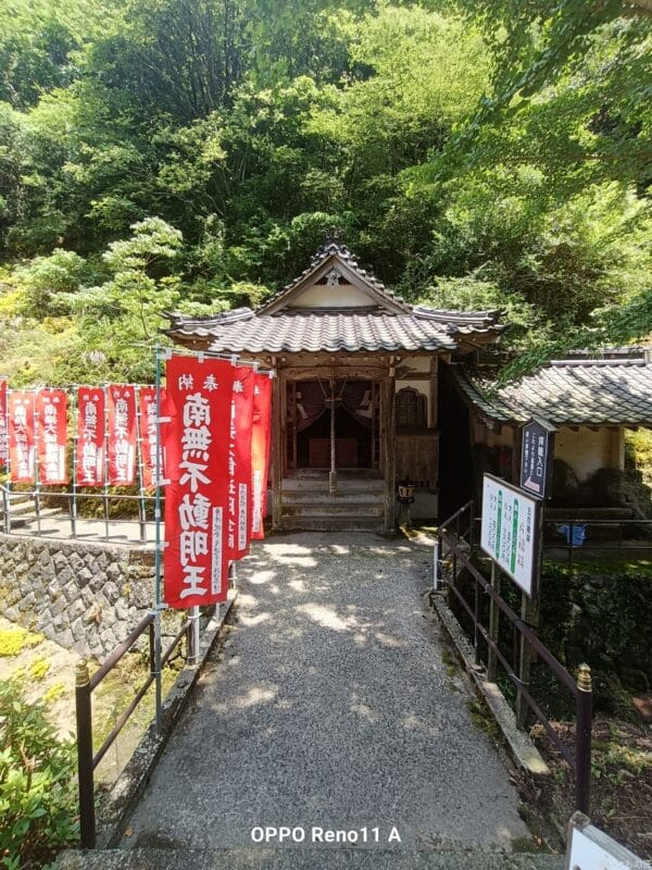 OPPO Reno11 A カメラ
OPPO Reno11 A カメラの風景写真