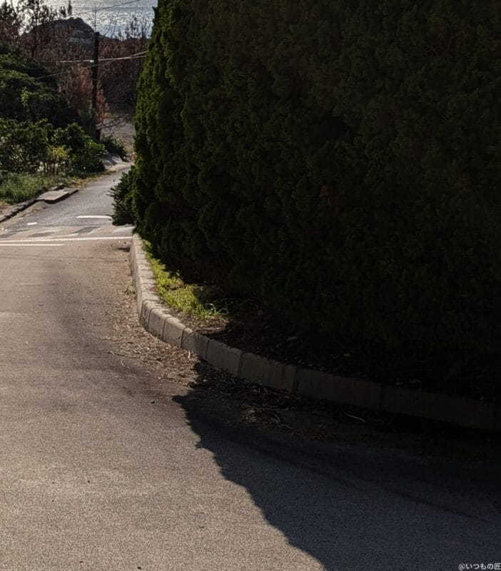 Google Pixel 8a カメラ
Google Pixel 8aでHDR撮影した風景写真