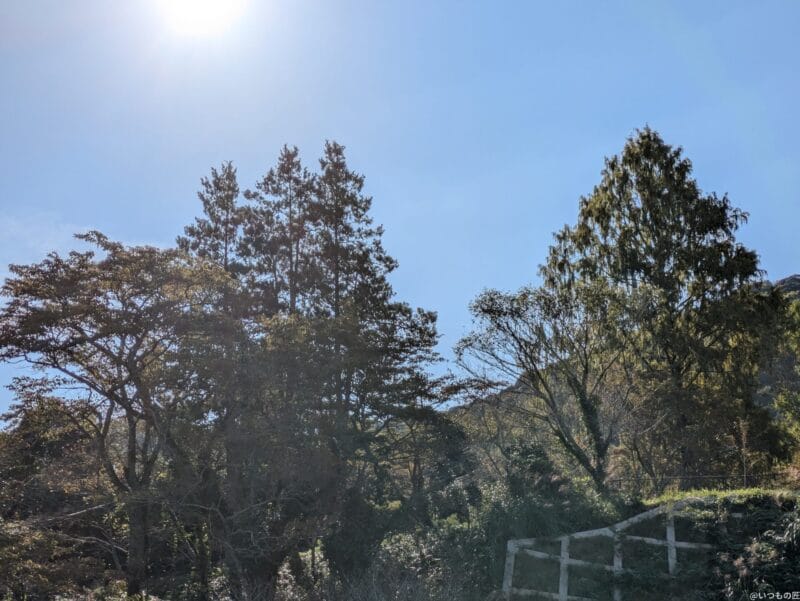 Google Pixel 8a カメラ
Google Pixel 8aで撮影した風景写真