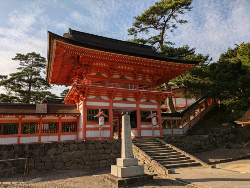 Google Pixel 8a カメラ
Google Pixel 8aでズーム撮影した写真