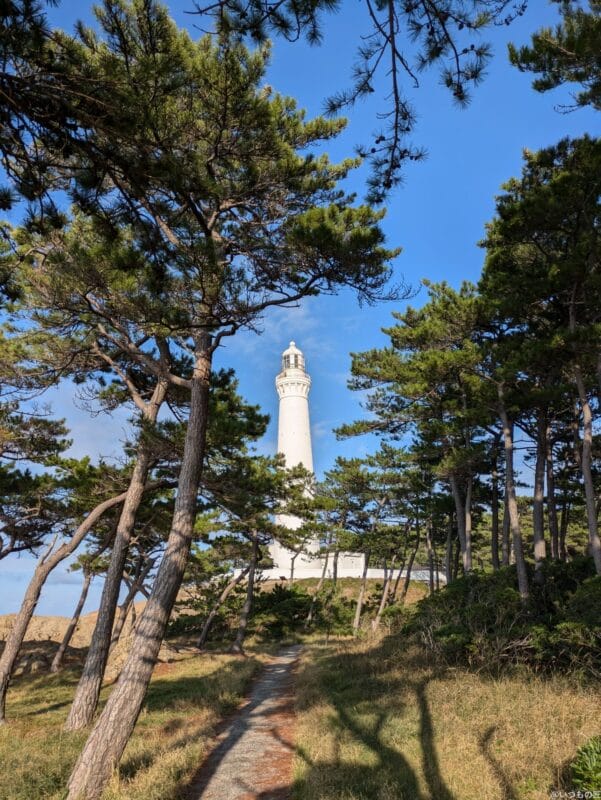 Google Pixel 8a カメラ
Google Pixel 8aでズーム撮影した写真