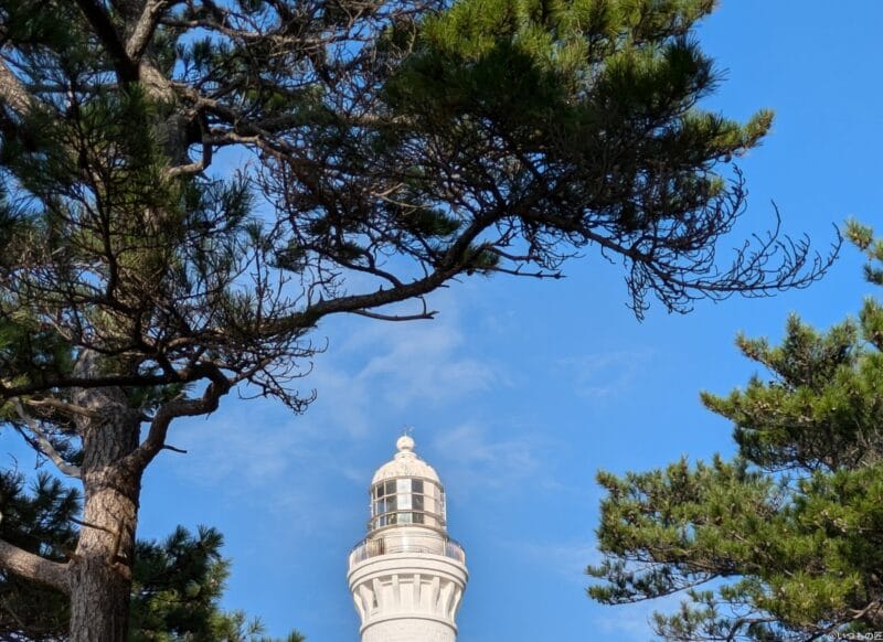 Google Pixel 8a カメラ
Google Pixel 8aでズーム撮影した写真