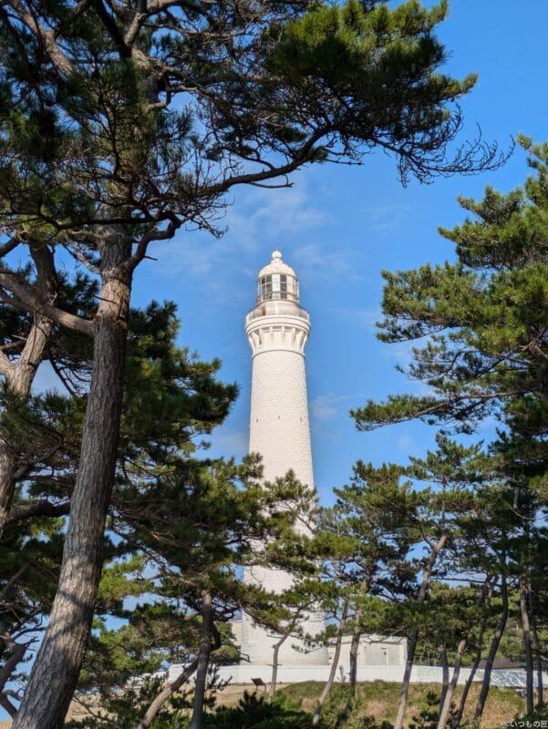 Google Pixel 8a カメラ
Google Pixel 8aでズーム撮影した写真