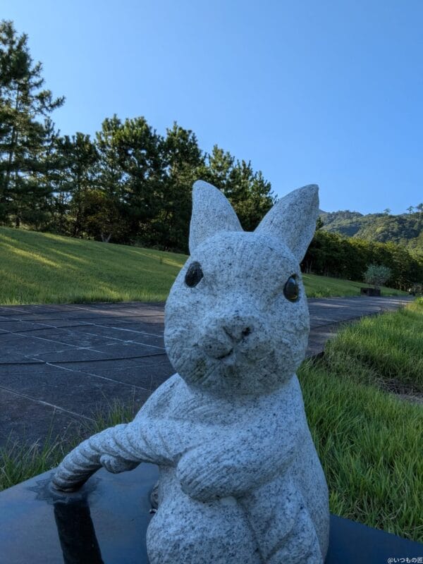 Google Pixel 9 Pro Fold カメラ Google Pixel 9 Pro Fold の外側前面カメラでズーム撮影した写真