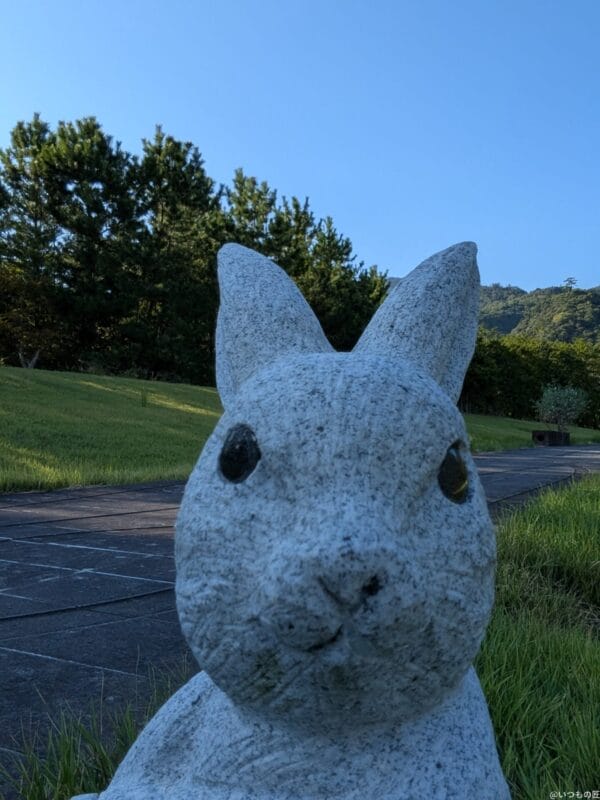 Google Pixel 9 Pro Fold カメラ Google Pixel 9 Pro Fold の外側前面カメラでズーム撮影した写真