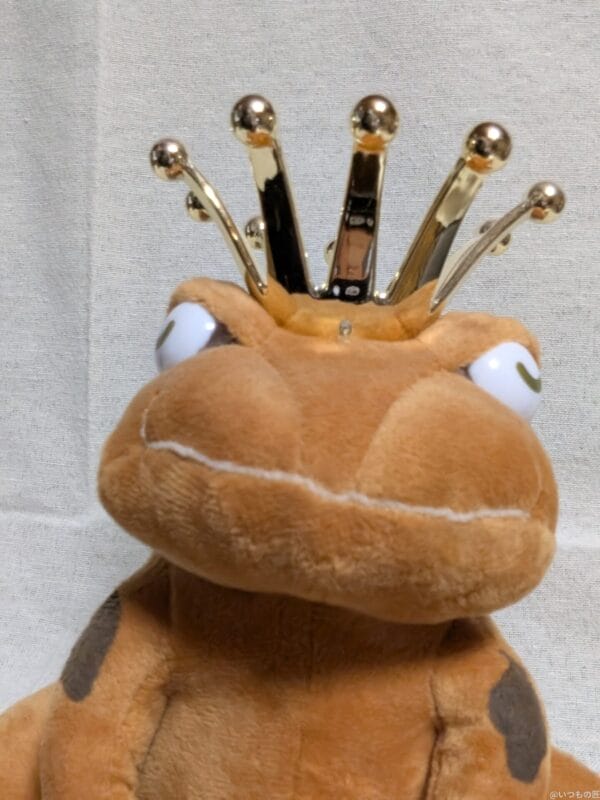 Google Pixel 9 Pro Fold カメラ
Google Pixel 9 Pro Fold の外側前面カメラでズーム撮影した写真