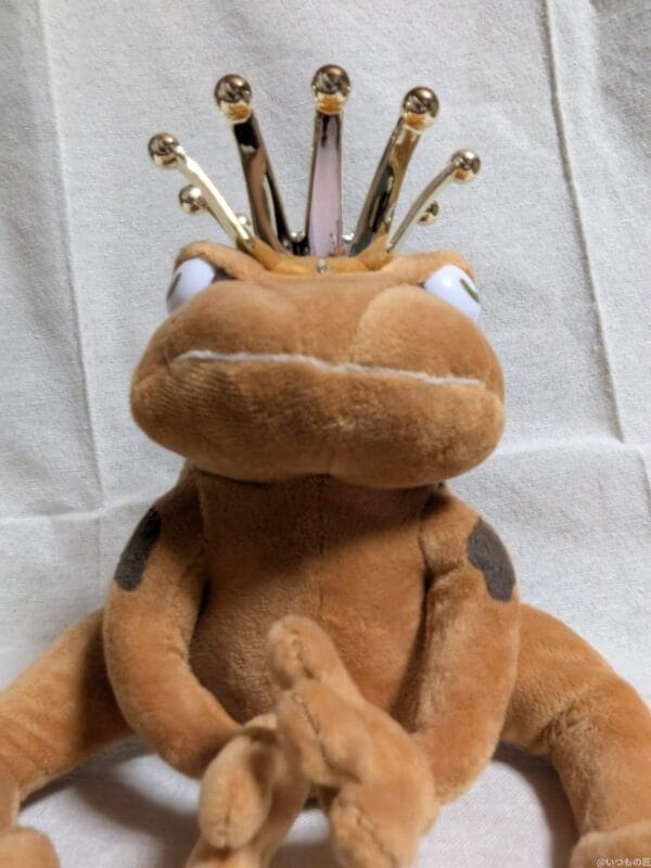 Google Pixel 9 Pro Fold カメラ
Google Pixel 9 Pro Fold の内側前面カメラでズーム撮影した写真