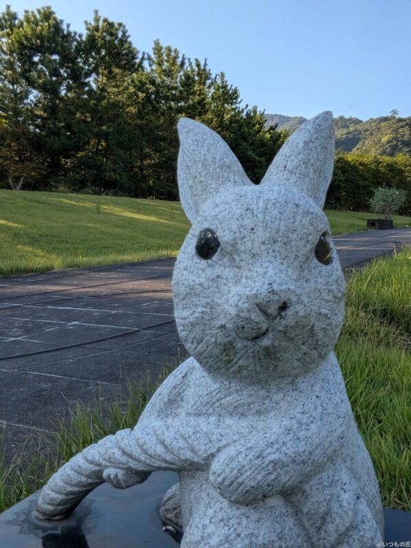 Google Pixel 9 Pro Fold カメラ
Google Pixel 9 Pro Fold の内側前面カメラでズーム撮影した写真