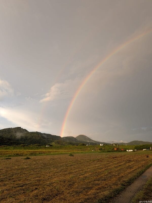 Google Pixel 9 Pro Fold カメラ
Google Pixel 9 Pro Fold で撮影した風景写真