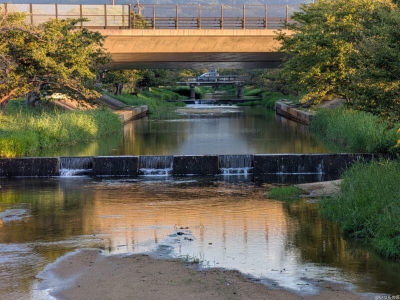 Google Pixel 9 Pro Fold カメラ
Google Pixel 9 Pro Fold で撮影した風景写真