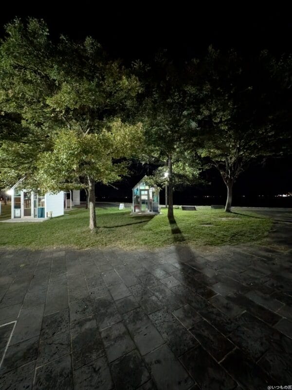 Google Pixel 9 Pro Fold カメラ
Google Pixel 9 Pro Foldの通常モードでズーム撮影した夜景写真