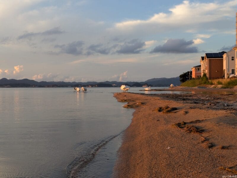 Google Pixel 9 Pro Fold カメラ
Google Pixel 9 Pro Fold でズーム撮影した風景写真