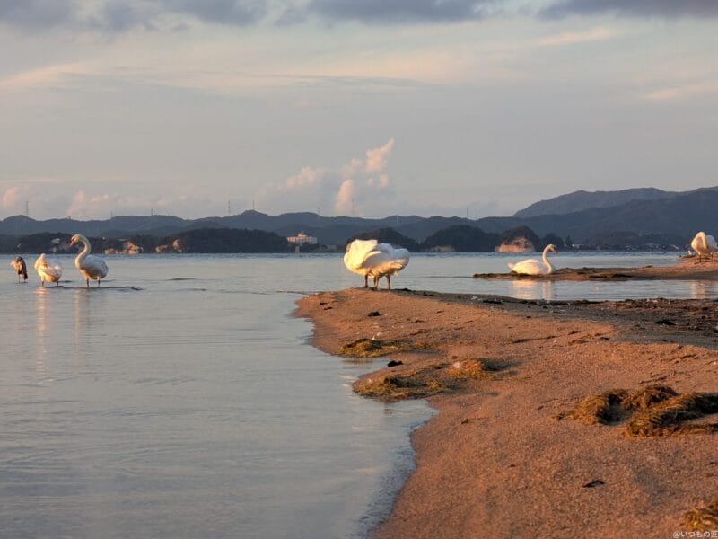 Google Pixel 9 Pro Fold カメラ
Google Pixel 9 Pro Fold でズーム撮影した風景写真