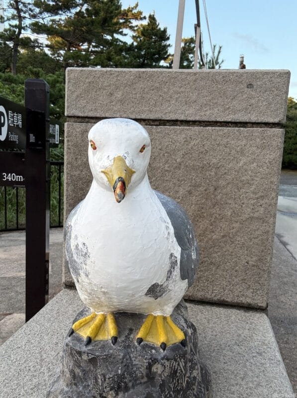 iPhone 16 Pro/16 Pro Max カメラ
iPhone 16 Pro Maxのフロントカメラで撮影した写真