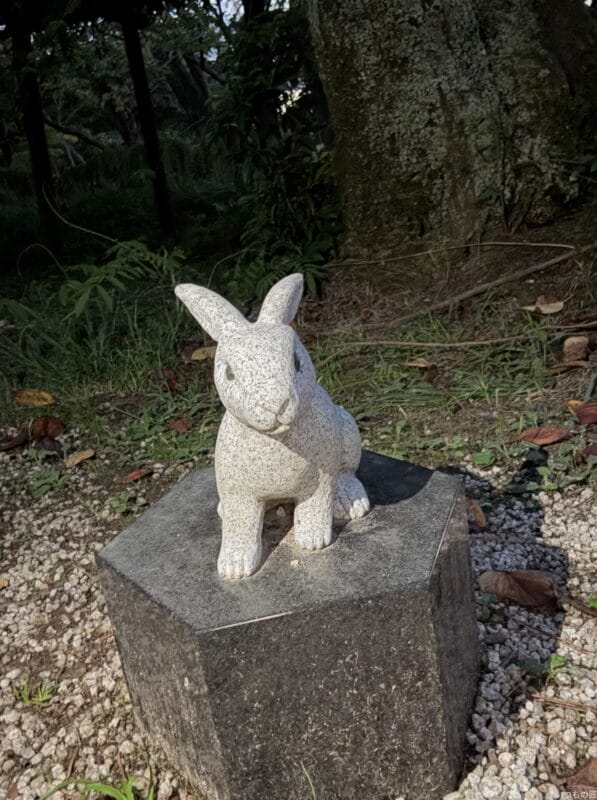 iPhone 16 Pro/16 Pro Max カメラ
iPhone 16 Pro Maxのフロントカメラで撮影した写真