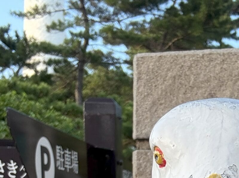 iPhone 16/16 Plus カメラ
iPhone 16のフロントカメラで撮影した写真