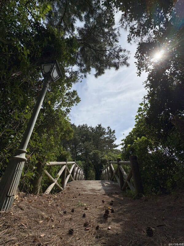 iPhone 16/16 Plus カメラ
iPhone 16で撮影した風景写真