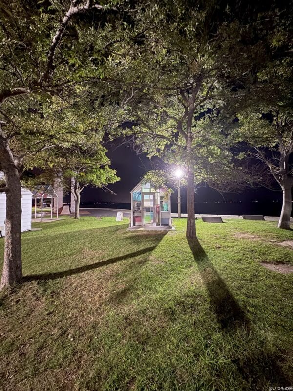 iPhone 16/16 Plus カメラ
iPhone 16でズーム撮影した夜景写真