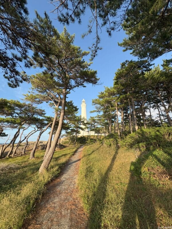 iPhone 16/16 Plus カメラ
iPhone 16でズーム撮影した風景写真