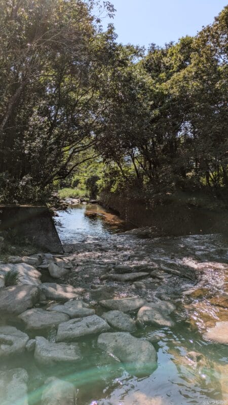 Google Pixel 8a カメラ
Google Pixel 8aで撮影した風景写真