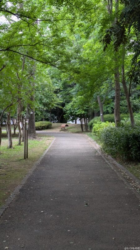 Google Pixel 8a カメラ
Google Pixel 8aで撮影した風景写真