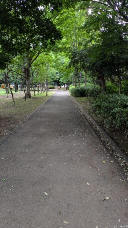 Google Pixel 8a カメラ
Google Pixel 8aで撮影した風景写真