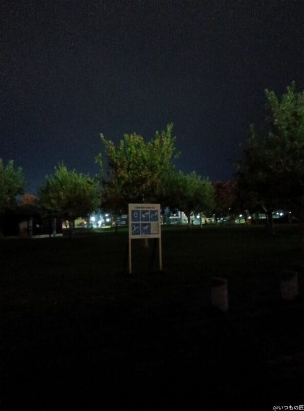 AQUOS wish4 レビュー
AQUOS wish3で暗所撮影した写真