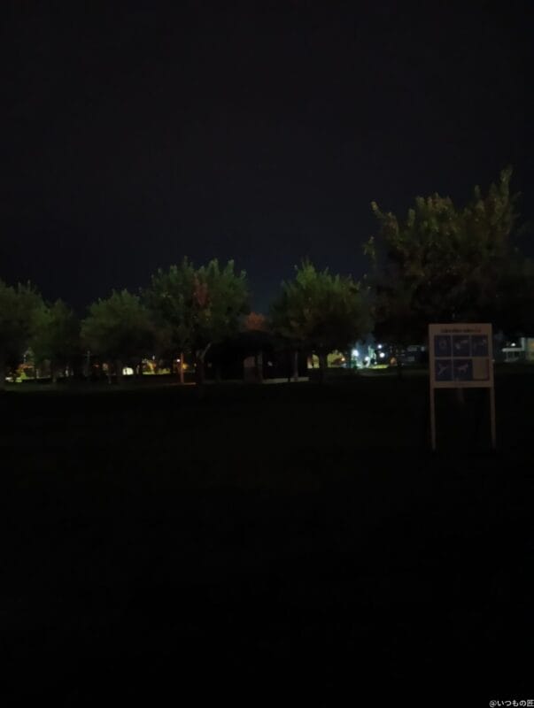 AQUOS wish4 レビュー
AQUOS wish4で暗所撮影した写真