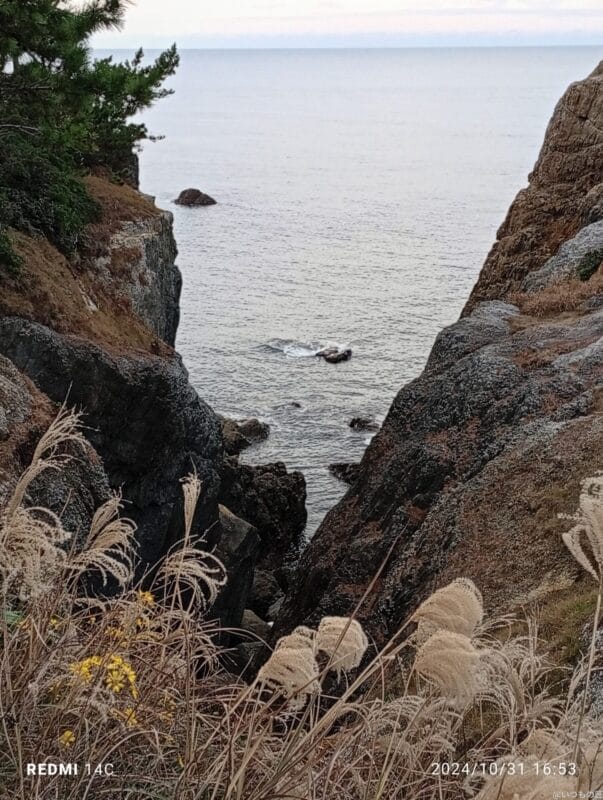 Xiaomi Redmi 14C カメラ
Xiaomi Redmi 14C で撮影した風景写真