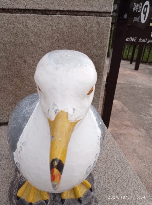 Xiaomi Redmi 14C カメラ
Xiaomi Redmi 14C インカメラで撮影した写真
