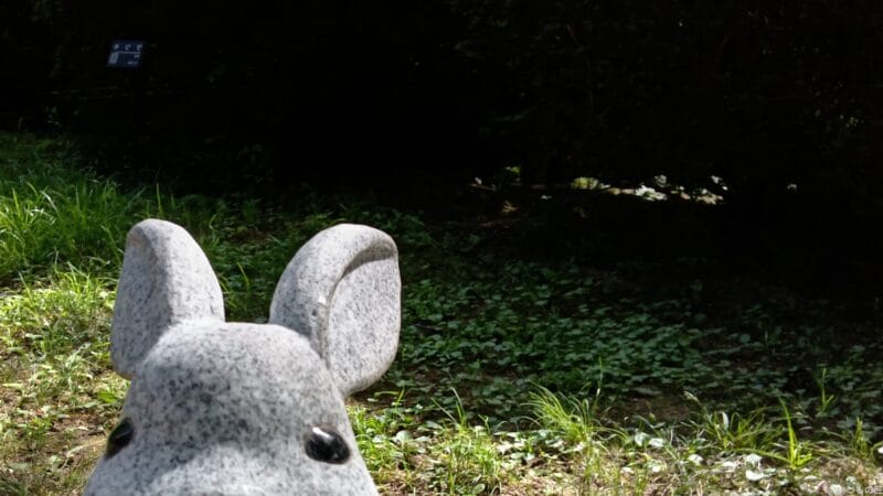 AQUOS wish4 レビュー
AQUOS wish4 インカメラで撮影した写真