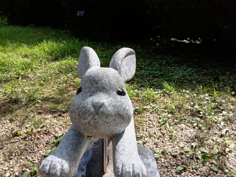 AQUOS wish4 レビュー
AQUOS wish4 インカメラで撮影した写真