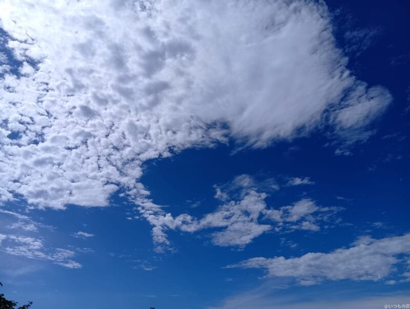 AQUOS wish4 レビュー
AQUOS wish4で撮影した風景写真