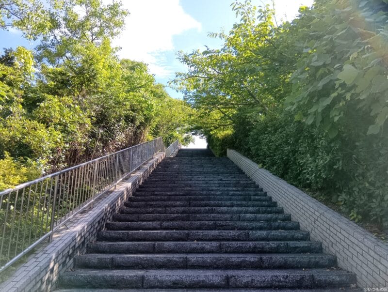 Xiaomi Redmi 14C カメラ
AQUOS wish4で撮影した風景写真