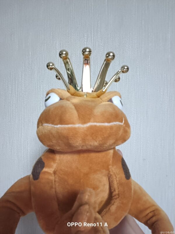 OPPO Reno11 A レビュー
OPPO Reno11 A のインカメラで撮影した写真