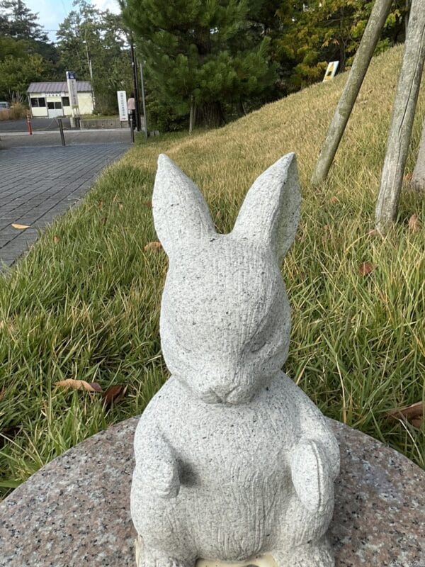 iPad mini 第7世代 カメラ
iPad mini 第7世代 のフロントカメラで撮影した写真