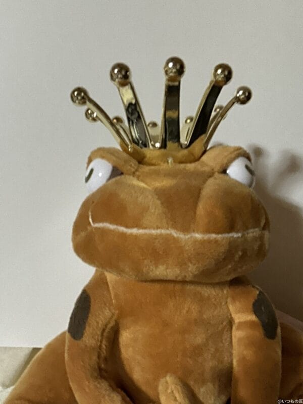 iPad mini 第7世代 カメラ
iPad mini 第7世代 のフロントカメラで撮影した写真