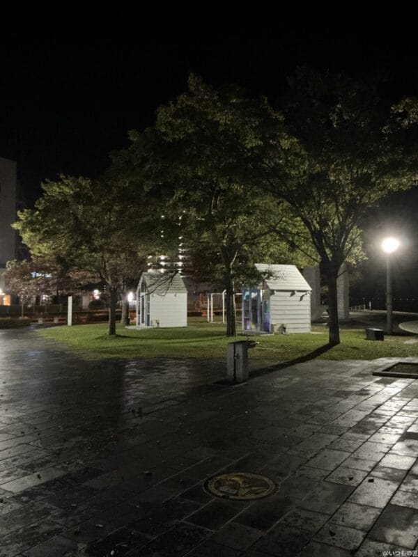 iPad mini 第7世代 カメラ
iPad mini 第7世代 で暗所撮影した写真