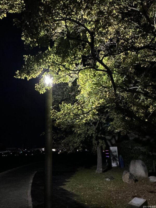 iPad mini 第7世代 カメラ
iPad mini 第7世代 で暗所撮影した写真