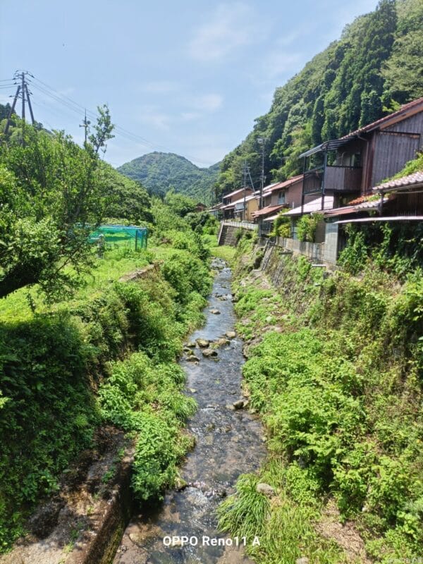 OPPO Reno11 A レビュー
OPPO Reno11 A で撮影した風景写真