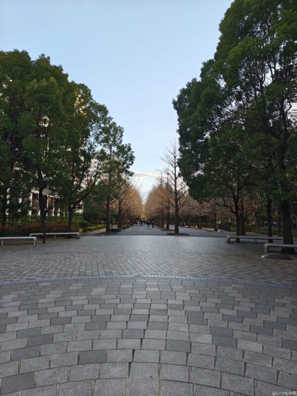 AQUOS R9 pro カメラ
AQUOS R9 pro で撮影した風景写真