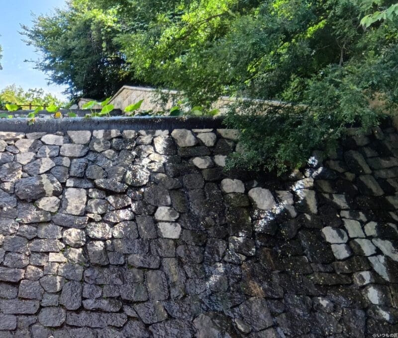 moto g64 5G カメラ
AQUOS wish4 カメラでHDR撮影した風景写真