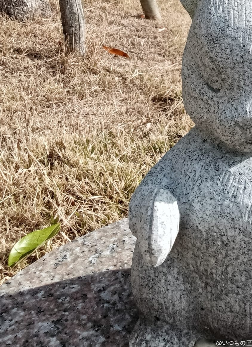 OPPO A3 5G カメラ
OPPO A3 5G インカメラで撮影した写真
