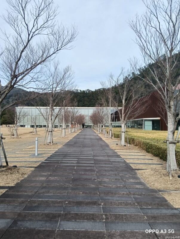 OPPO A3 5G カメラ
OPPO A3 5G カメラで撮影した風景写真
