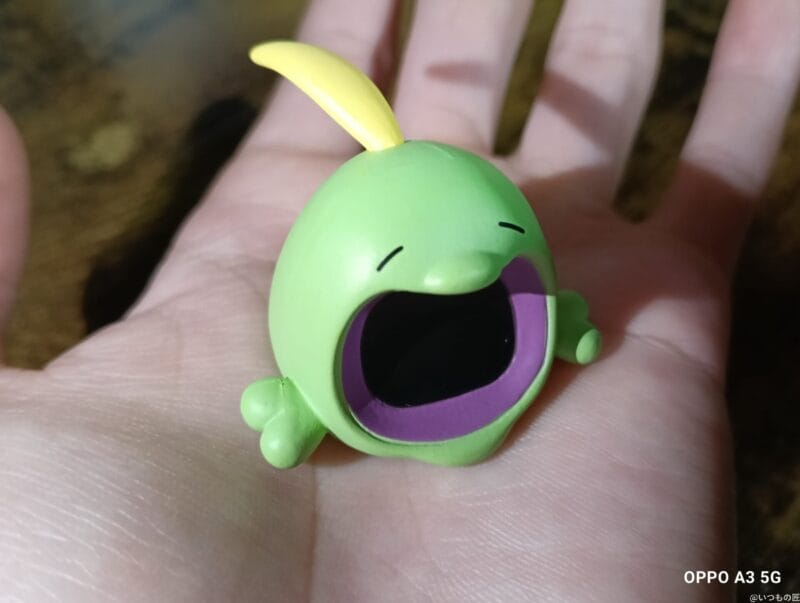 OPPO A3 5G レビュー
OPPO A3 5Gでマクロ撮影した写真