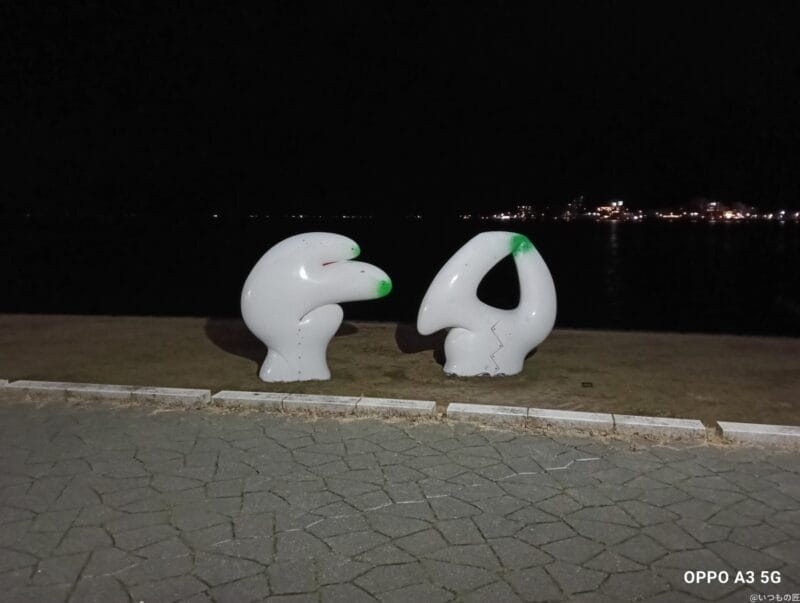 OPPO A3 5G カメラ
OPPO A3 5G カメラでズーム撮影した夜景写真