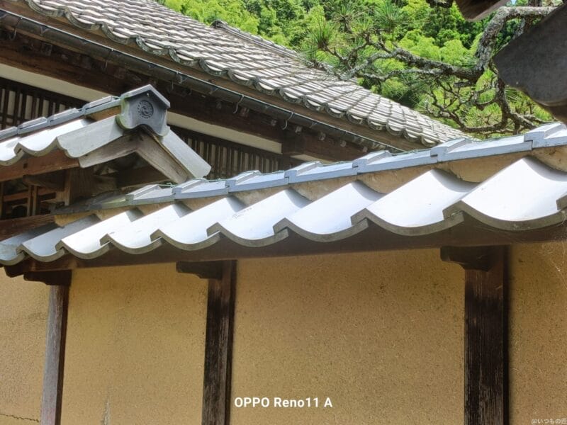 OPPO A3 5G カメラ
OPPO Reno11 A カメラで撮影した風景写真