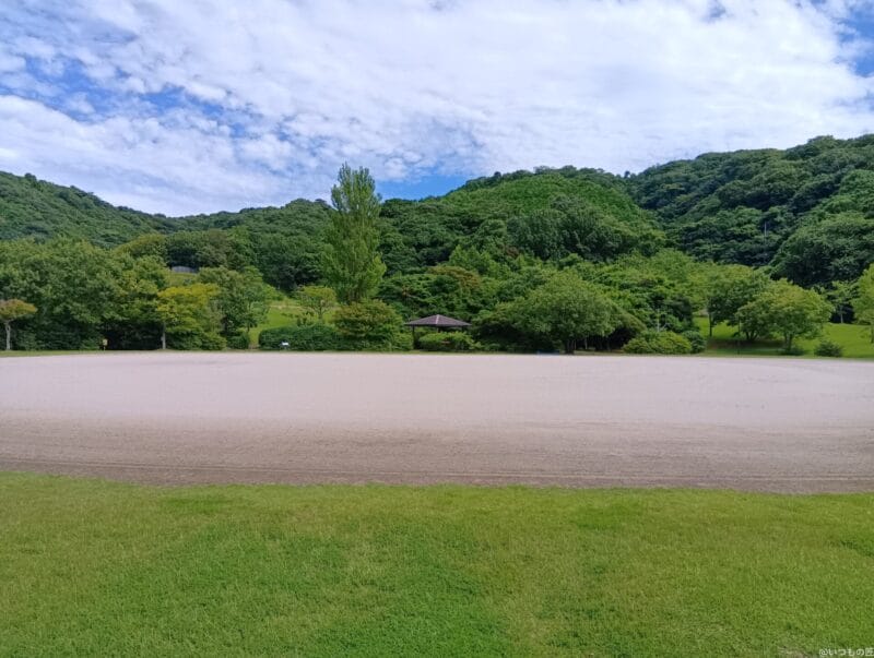 moto g64 5G カメラ
AQUOS wish4 カメラで撮影した風景写真