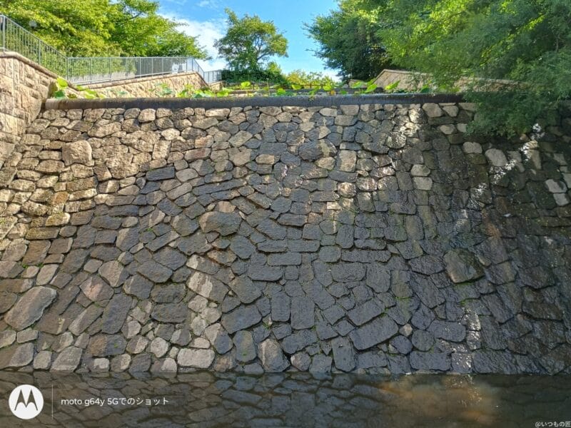 moto g64 5G カメラ
moto g64 5G カメラでHDR撮影した写真