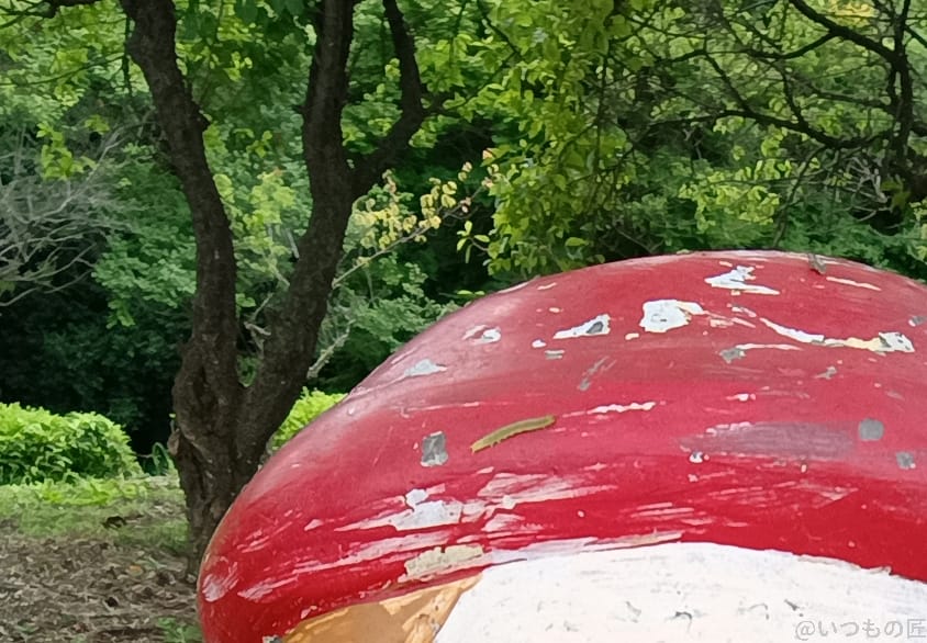 moto g64 5G カメラ
moto g64 5G インカメラで撮影した写真